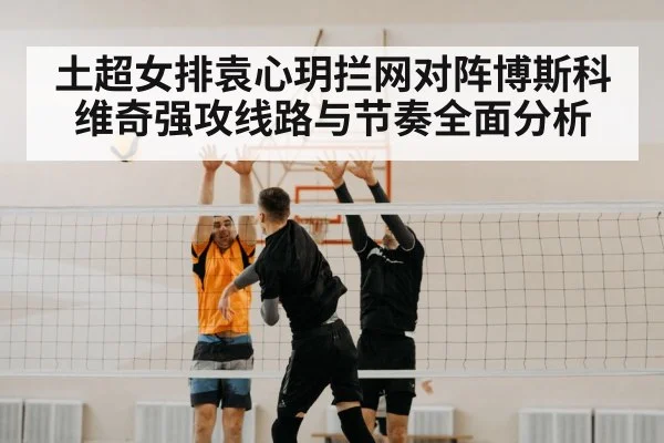volleyball net block